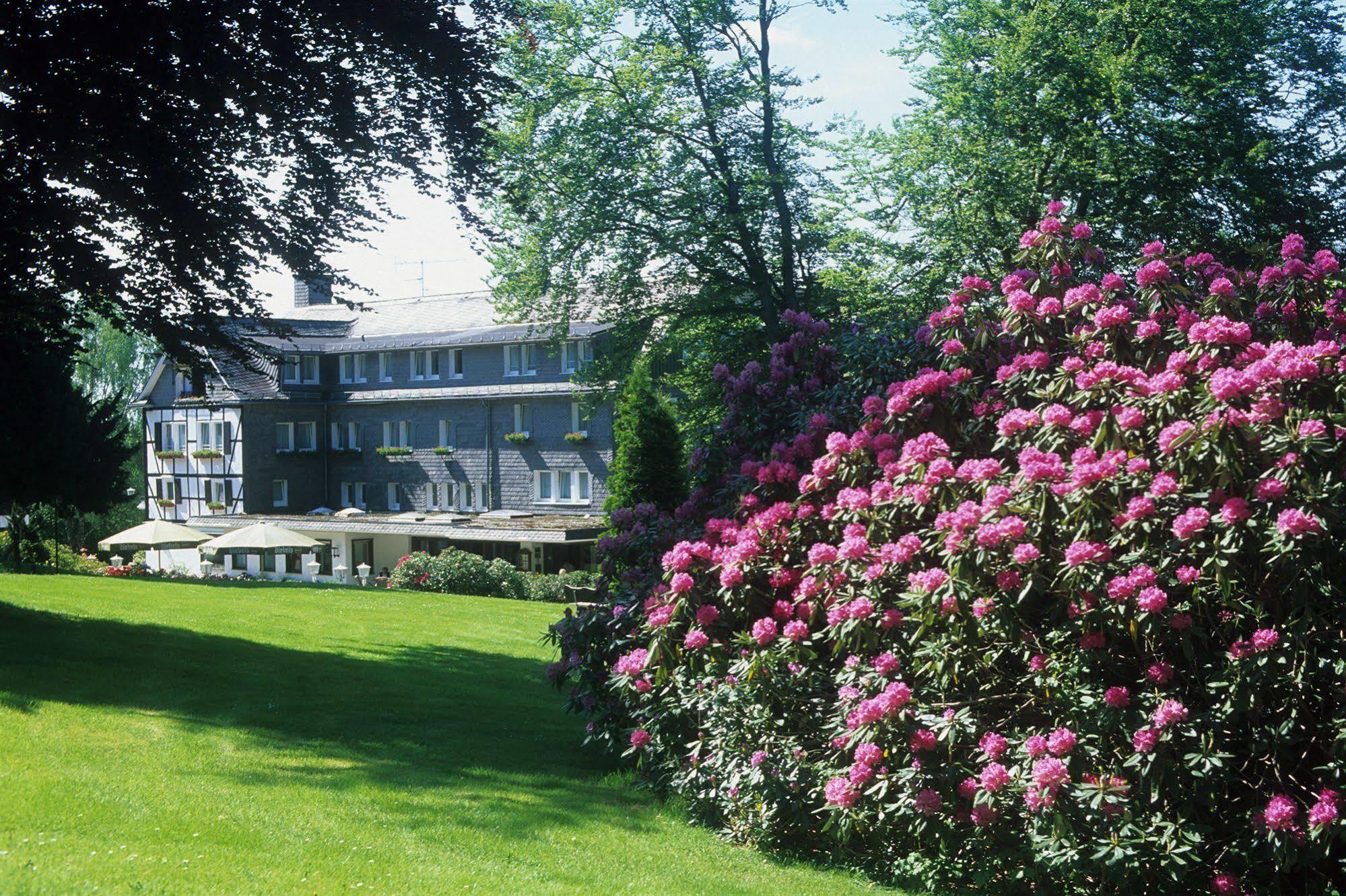 Hotel Jagdhaus Wiese Schmallenberg Dış mekan fotoğraf